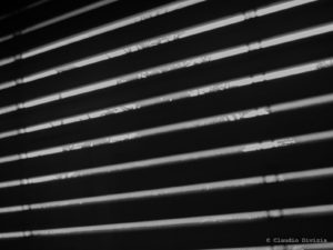 Silhouette of windows blinds seen from a dark room against the sunlight