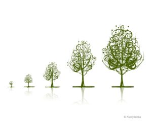 Stages of growing tree for your design