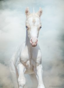 Newborn Unicorn gallops through magical smoke.